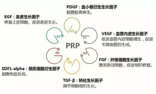 高位损伤，恢复之路究竟几何？